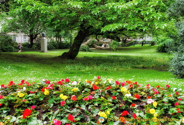 A splash of colour in the Luxembourg garden